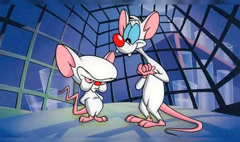Pinky y Cerebro: conmovedor episodio navideño le cumple su sueño al inteligente ratón [VÍDEO] 
