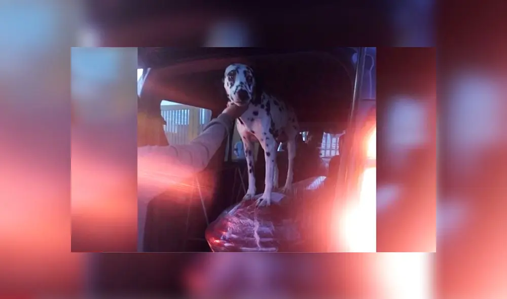 Foto: Captura/América TV. Foto: Captura/América TV.