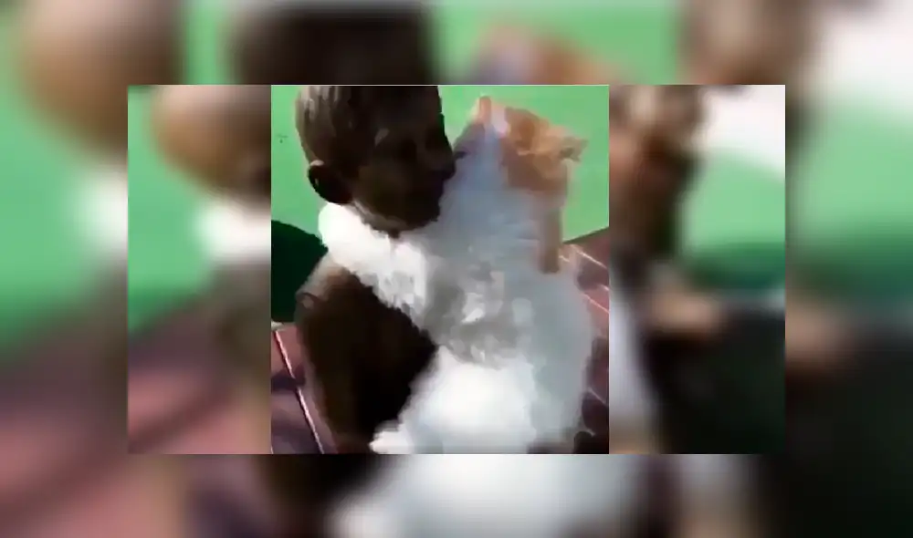 Vía Facebook. El dueño del felino estaba paseando a su mascota por un parque de diversiones cuando esta lo sorprendió con un peculiar comportamiento que enterneció a miles