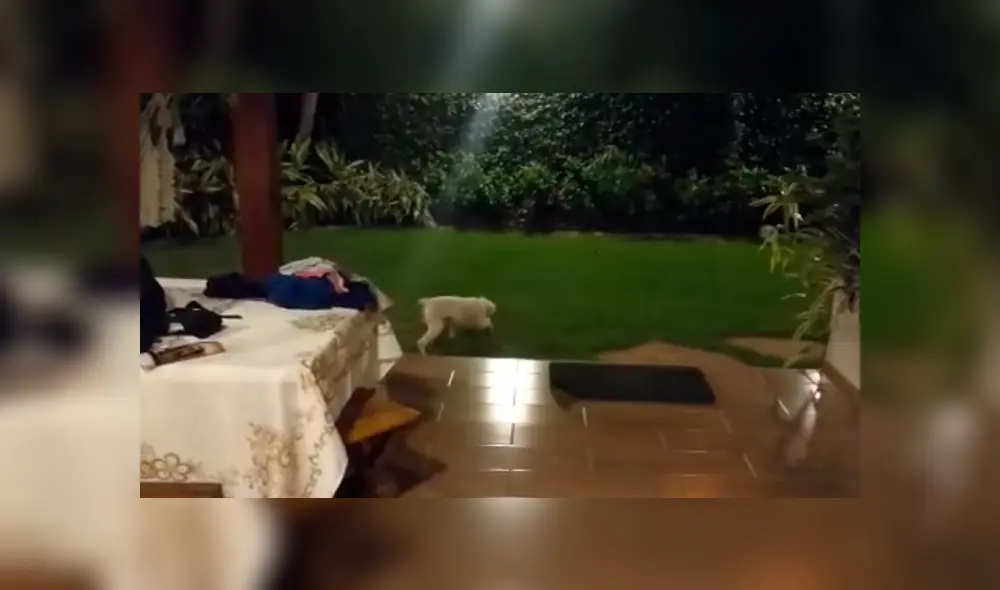 Desliza a la izquierda para conocer el nuevo viral de YouTube. Foto: Captura. Desliza a la izquierda para conocer el nuevo viral de YouTube. Foto: Captura.