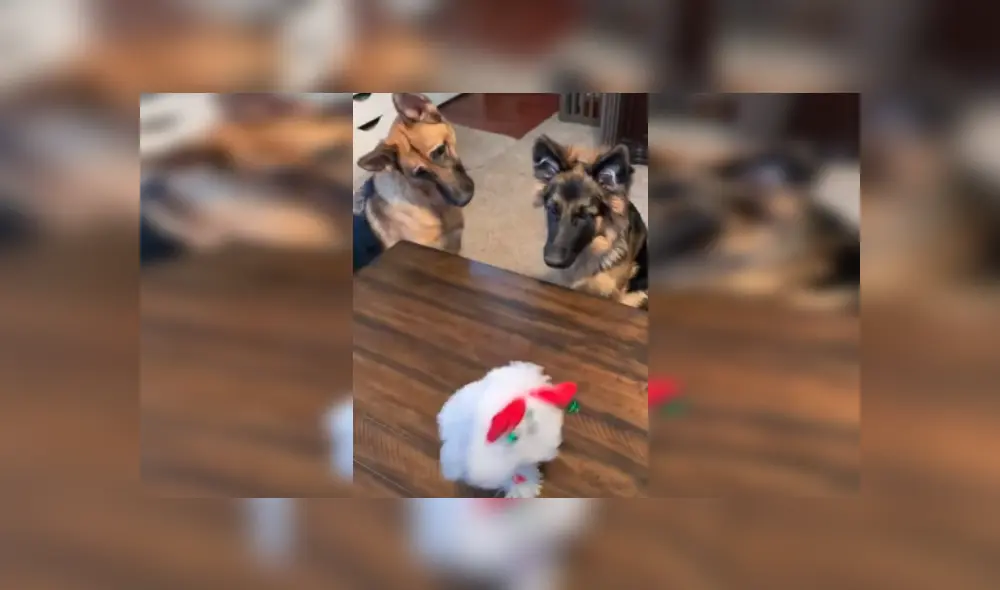 Desliza las imágenes para ver más detalles de esta curiosa escena viral de YouTube. Desliza las imágenes para ver más detalles de esta curiosa escena viral de YouTube.