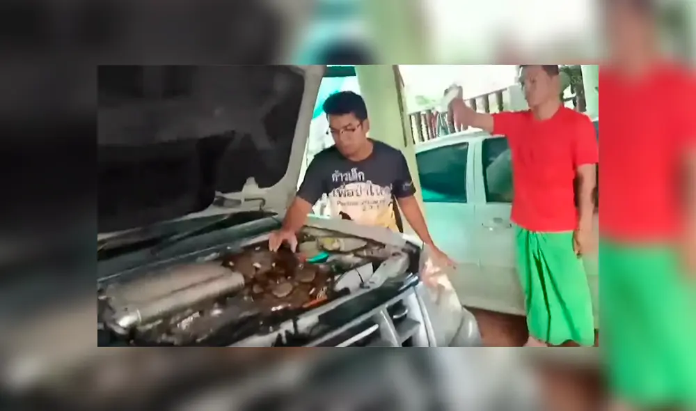 Hombre abre capó de su auto y encuentra letal criatura que habitaba en su interior [VIDEO] 