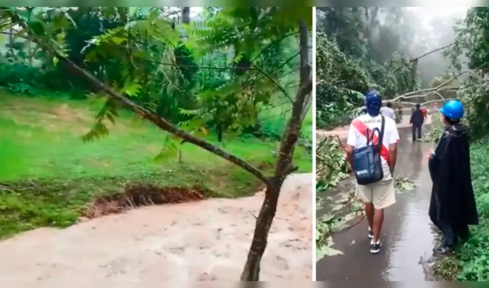 Lluvias: Ejecutivo declaró en emergencia la región San Martín por ...