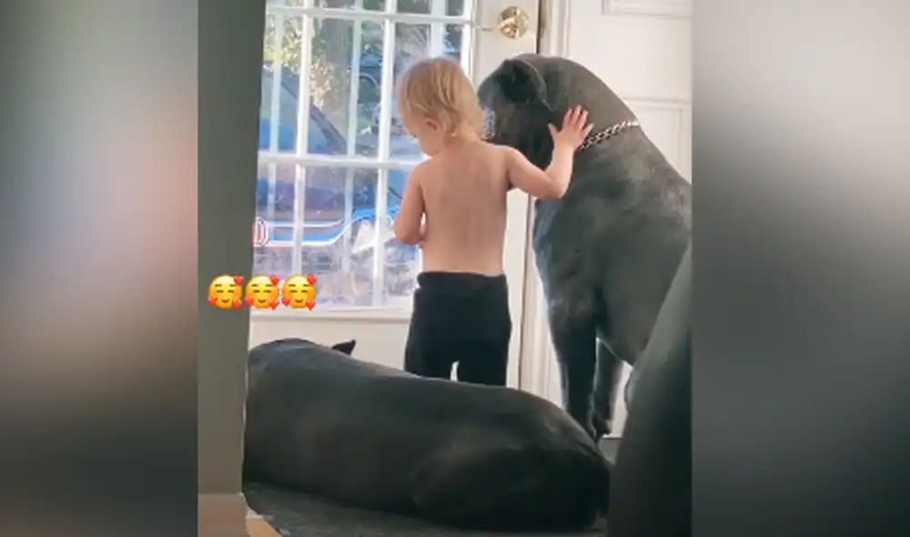 Desliza hacia la izquierda para ver las imágenes del video viral. Foto: captura de Facebook.