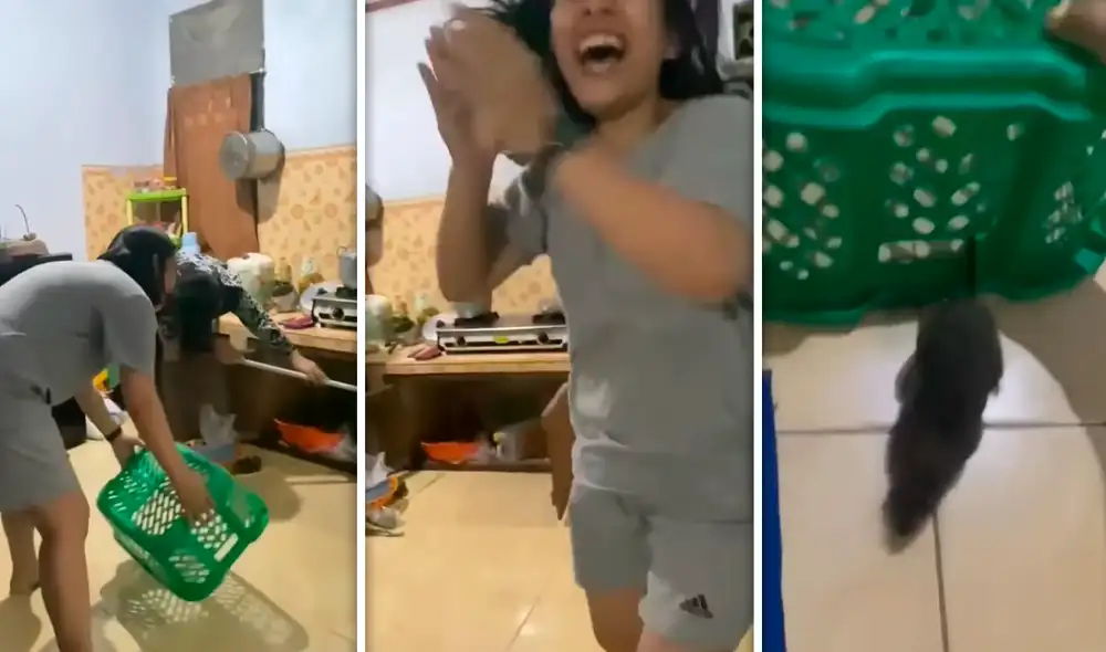 Joven salta de alegría tras lograr atrapar una rata de gran tamaño que merodeaba por su cocina Joven salta de alegría tras lograr atrapar una rata de gran tamaño que merodeaba por su cocina