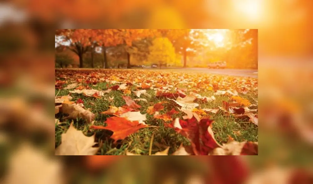 Equinoccio de otoño, Google