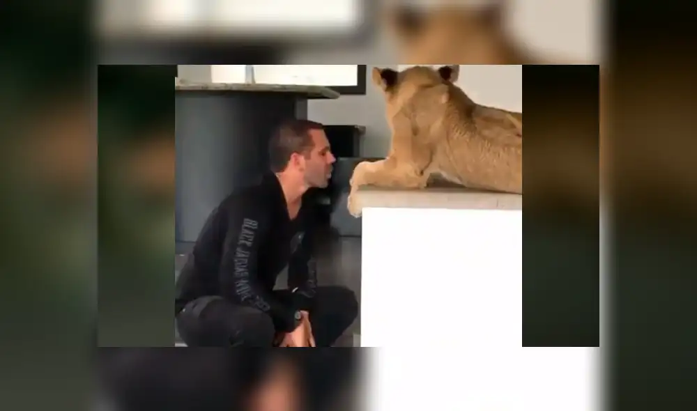 El protagonista del video viral de Facebook colocó su mano en las fauces de una leona arriesgando su vida.