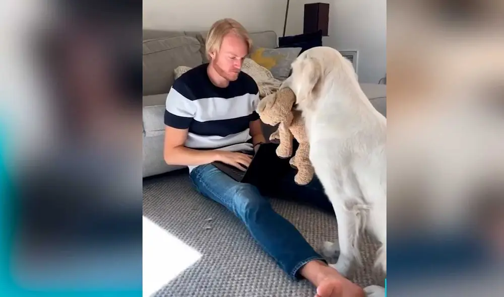 Desliza las imágenes para ver la inesperada escena que protagonizó este can y su dueño. Foto: Captura de Facebook/Woof Woof