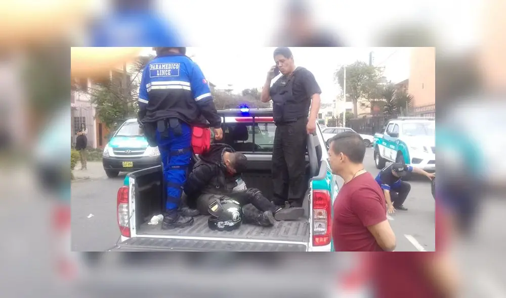 Lince robo panadería Lince robo panadería