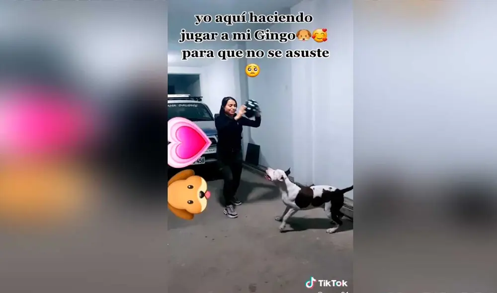 Desliza las imágenes para ver el curioso gesto que tuvo esta joven con su mascota para que no tenga miedo por los pirotécnicos. Foto: captura de TikTok/@sanea24