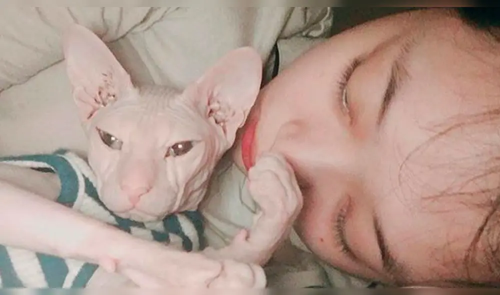 Heechul de Super Junior habría adoptado al gato de Sulli Heechul de Super Junior habría adoptado al gato de Sulli