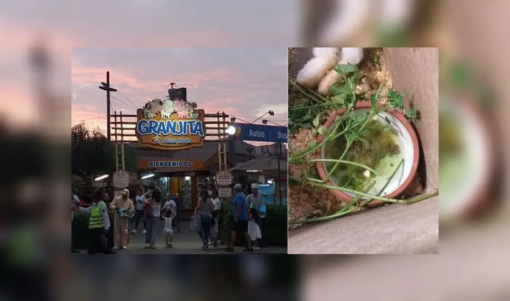 Clausuran granja de Plaza Norte que tenía a animales en malas condiciones [FOTOS]