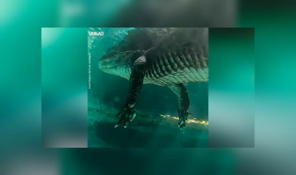 Chico nada en un profundo lago y queda aterrado al ser sorprendido por una extraña criatura [VIDEO]