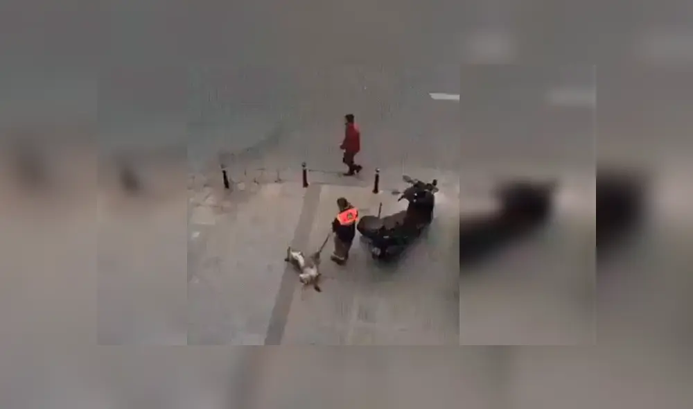 El can aprovechó el trabajo del empleado de limpieza para obtener un momento de relajo. La hilarante escena se ha hecho viral en Facebook El can aprovechó el trabajo del empleado de limpieza para obtener un momento de relajo. La hilarante escena se ha hecho viral en Facebook