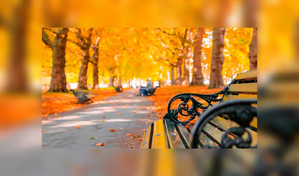 Equinoccio de otoño: ¿qué es y por qué este año comienza un día antes de lo habitual? Equinoccio de otoño: ¿qué es y por qué este año comienza un día antes de lo habitual?