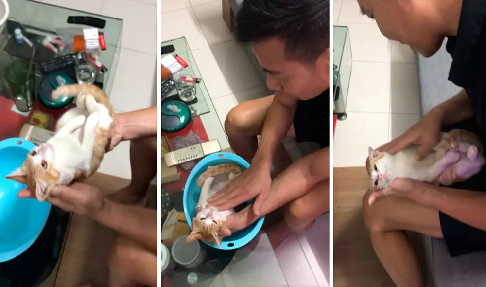 Desliza las imágenes para conocer los consejos que le dio un padre a su hijo para poder cuidar a su futuro bebé. Foto: captura de YouTube