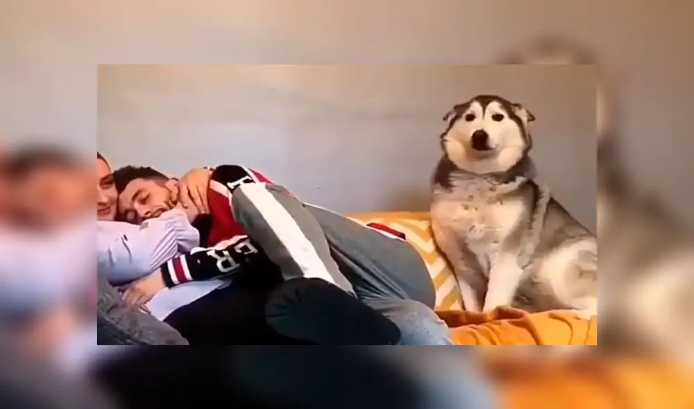 Facebook viral: perro celoso tiene increíble al ver a chico abrazar a su dueña sorprende a usuarios [VIDEO] 