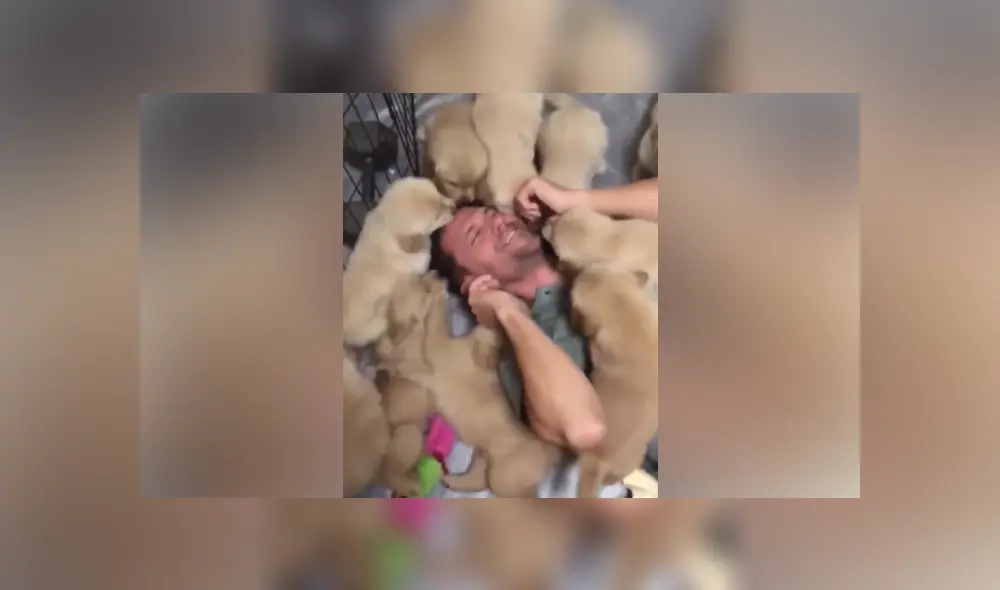 Desliza las imágenes para ver más detalles de esta tierna escena que es viral en Facebook. Desliza las imágenes para ver más detalles de esta tierna escena que es viral en Facebook.
