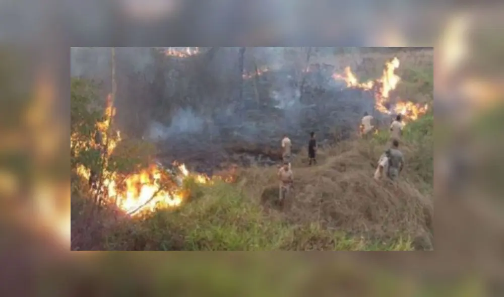 Fuego que tardó tres horas en extinguirse, no generó pérdidas humanas. (Foto tomada de Andina) Fuego que tardó tres horas en extinguirse, no generó pérdidas humanas. (Foto tomada de Andina)