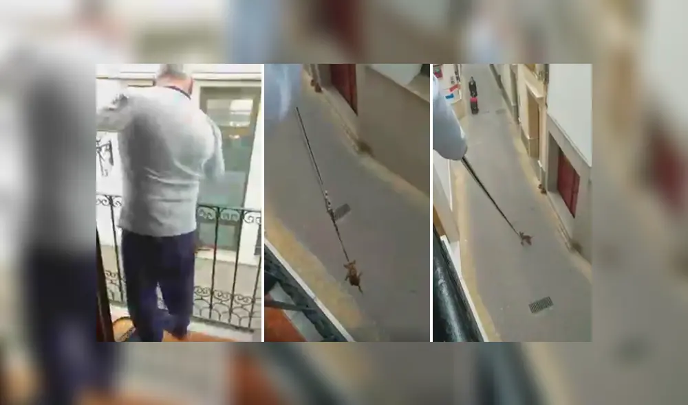 Desliza las imágenes hacia la izquierda para conocer cómo un hombre paseó a su perro desde su balcón. Desliza las imágenes hacia la izquierda para conocer cómo un hombre paseó a su perro desde su balcón.