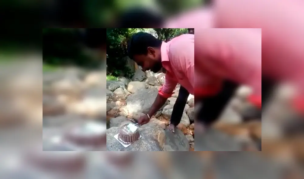 Familiares del joven lo sorprendieron con una torta de cumpleaños, sin imaginar que un travieso mono arruinaría el emotivo momento. El video es viral en Facebook Familiares del joven lo sorprendieron con una torta de cumpleaños, sin imaginar que un travieso mono arruinaría el emotivo momento. El video es viral en Facebook