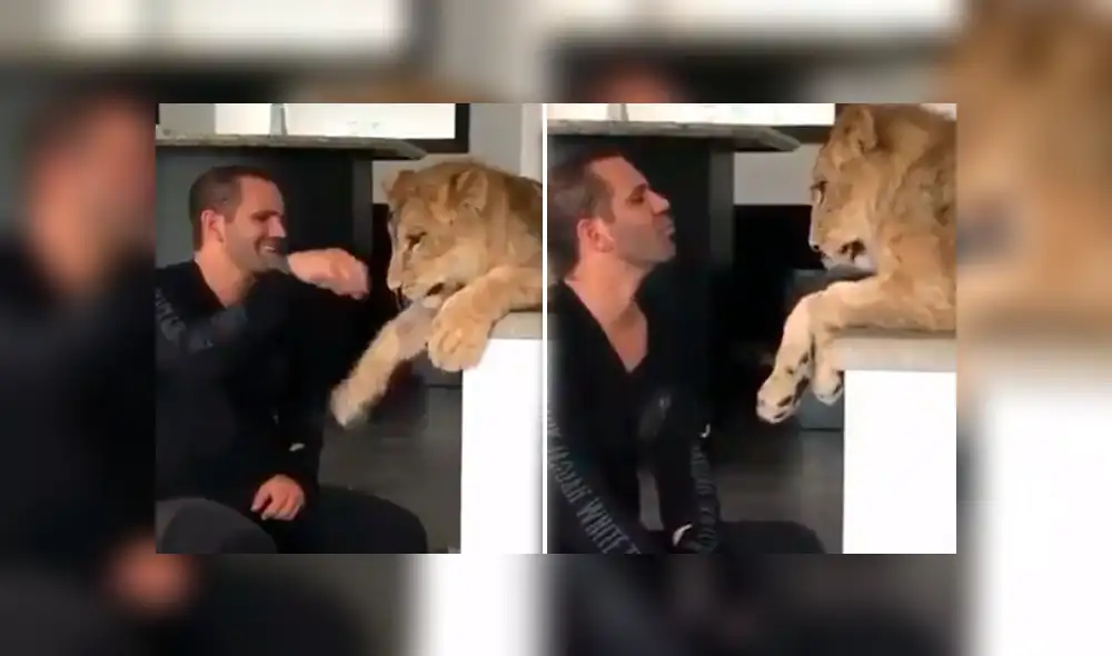 El protagonista del video viral de Facebook colocó su mano en las fauces de una leona arriesgando su vida.