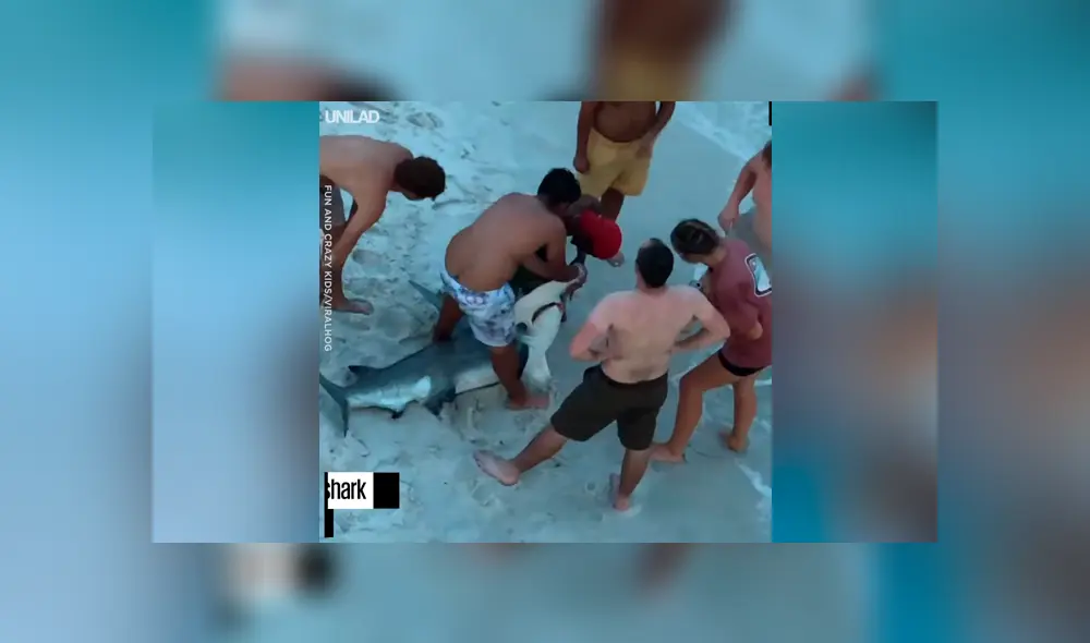 Hombres arrastran hambrienta criatura del mar, le sacan anzuelo atravesado y sucede lo increíble [VIDEO] 