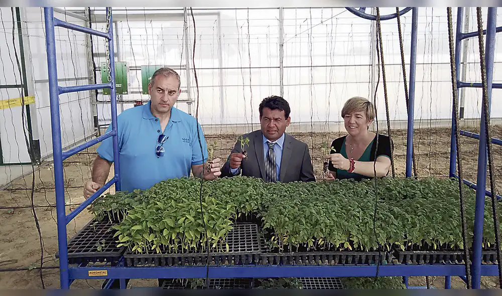 Primer invernadero en Sechura para beneficio de estudiantes y campesinos