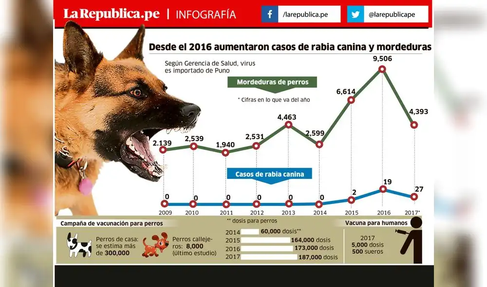 Muerte de paciente con rabia alerta sobre propagación del virus Muerte de paciente con rabia alerta sobre propagación del virus