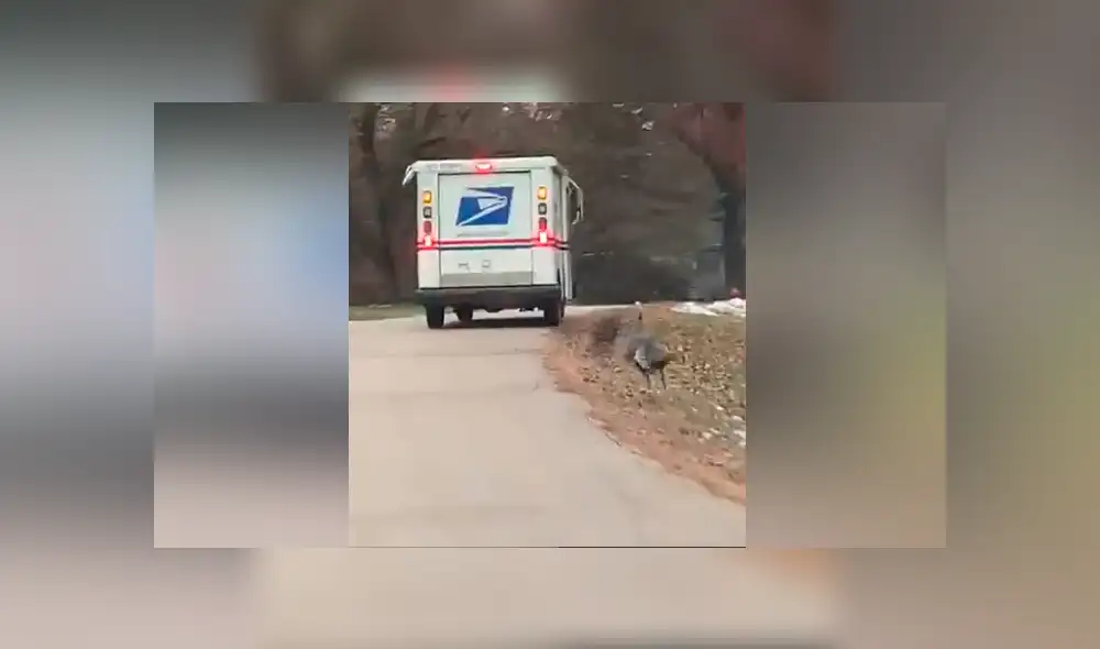 Desliza para ver los momentos más divertidos del video que se hizo viral en Facebook.