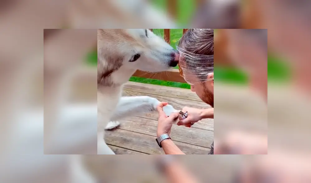 Desliza la imagen de Facebook para verlas todas. Desliza la imagen de Facebook para verlas todas.