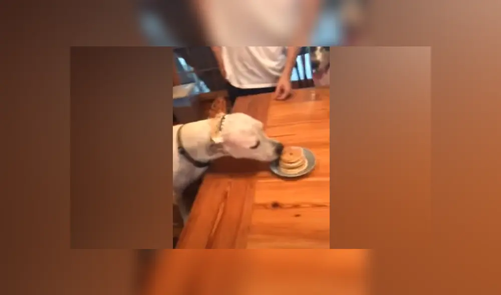 Desliza hacia la izquierda para ver las imágenes del viral de Facebook. Foto: Captura.