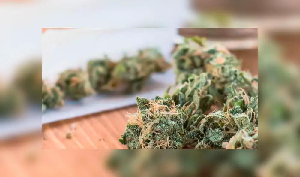 Día de la marihuana: conoce el origen del 420 usado por los amantes del cannabis