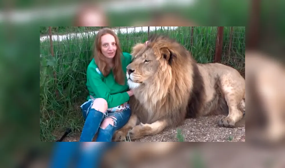 Desliza hacia la izquierda para ver la reacción que tuvo el gigantesco león tras encontrarse con la turista. El video es viral en YouTube.