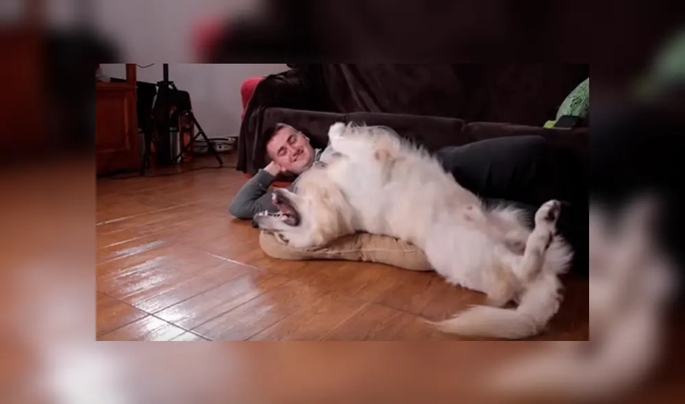 Desliza para ver los momentos más divertidos del video que se hizo viral en YouTube. Desliza para ver los momentos más divertidos del video que se hizo viral en YouTube.