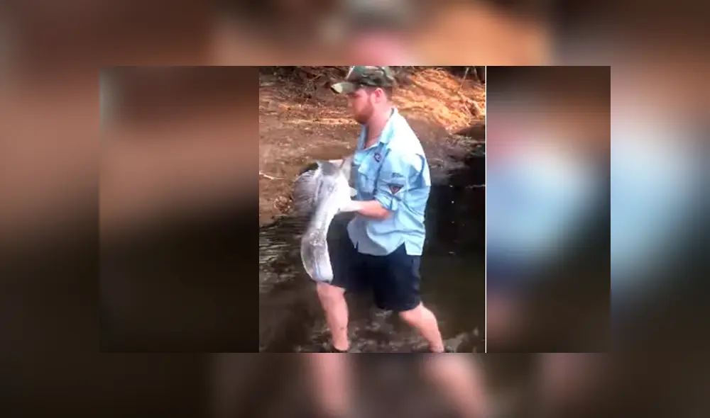 Desliza hacia la izquierda para ver el admirable gesto de un hombre al salvar la vida de un pez. Video de YouTube. Desliza hacia la izquierda para ver el admirable gesto de un hombre al salvar la vida de un pez. Video de YouTube.