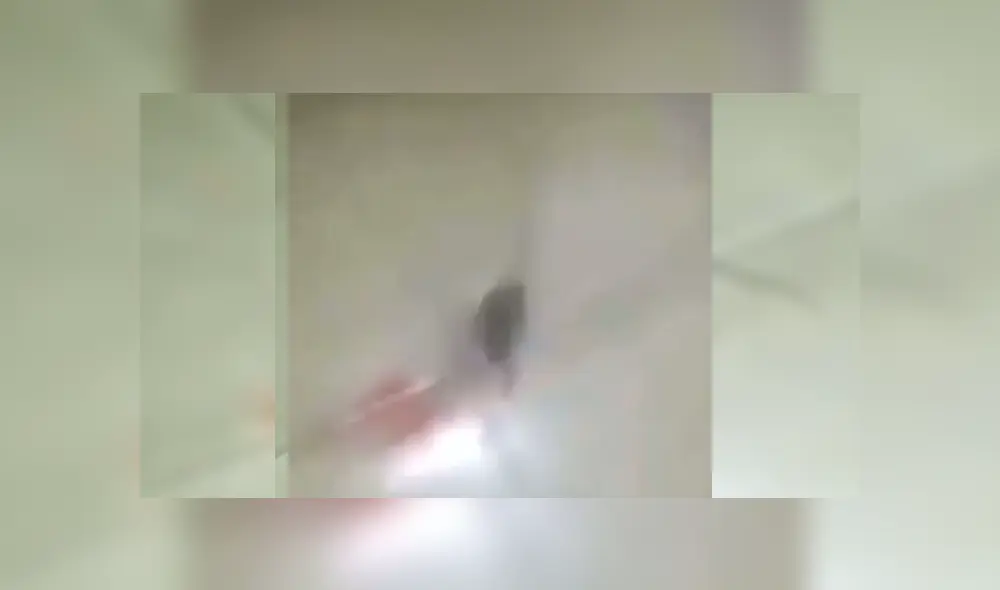 Desliza para ver los detalles del video viral publicado en YouTube. Foto: Captura. Desliza para ver los detalles del video viral publicado en YouTube. Foto: Captura.