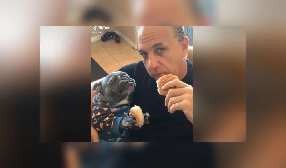 Desliza las imágenes para ver la divertida escena que logró registrar una joven mujer entre su padre y su nueva mascota. Foto: Bluenjy/TikTok