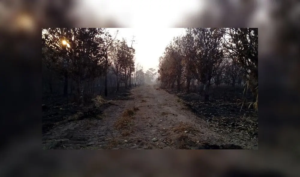 COER atendió este sábado seis incendios forestales en Iñapari, Iberia, Tampopata, Laberinto e Inambari. (Foto: Alcaldía de Iñapari)