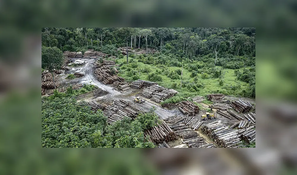 Depredación. Jair Bolsonaro, mandatario de Brasil, minimiza informes de la deforestación de la Amazonía, por lo que ha perdido el apoyo europeo.