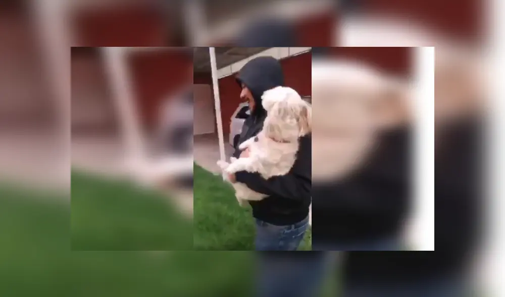 Desliza las imágenes para conocer el comportamiento de un perro tras obedecer las indicaciones de su dueña. Fotocaptura: Facebook. Desliza las imágenes para conocer el comportamiento de un perro tras obedecer las indicaciones de su dueña. Fotocaptura: Facebook.