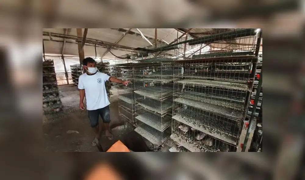 Gracias al apoyo de varias personas y de alcaldes, Richard Huaraca continuará con su negocio. (Foto: GLR - URPI) Gracias al apoyo de varias personas y de alcaldes, Richard Huaraca continuará con su negocio. (Foto: GLR - URPI)