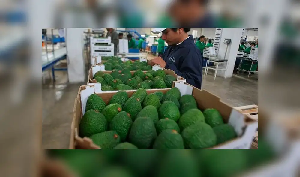 Exportaciones agrarias suman US$ 6.255 millones durante el 2017