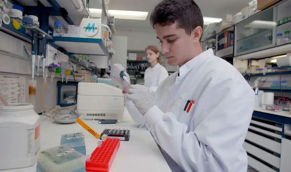 Informe del diario El País recoge que estos ciberataques, registrados en medio de la carrera por detener la pandemia, proceden del gigante asiático. Foto: (CNB- CSIC)