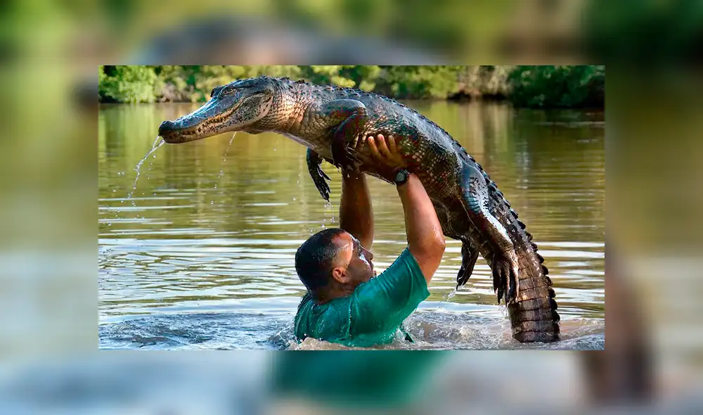 YouTube viral: temible caimán se acerca a un hombre y él tiene esta asombrosa reacción [VIDEO]