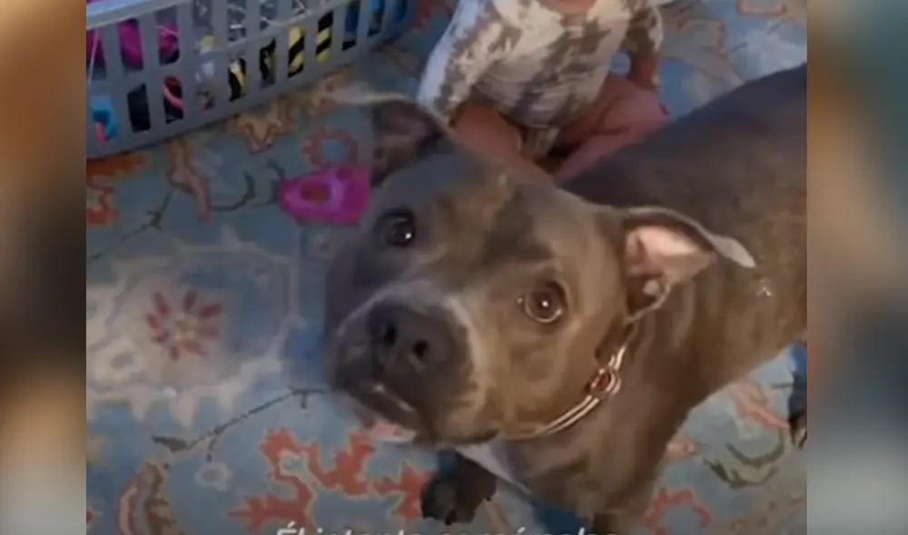 Desliza hacia la izquierda para ver las imágenes del video viral. Foto: Captura de YouTube. Desliza hacia la izquierda para ver las imágenes del video viral. Foto: Captura de YouTube.