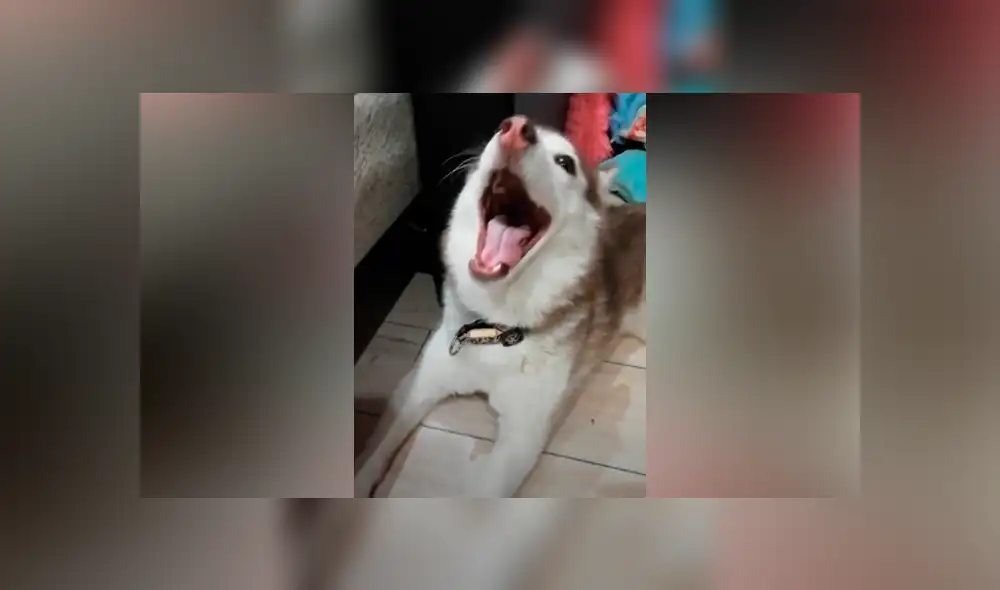 Desliza hacia la izquierda para ver las imágenes del viral de Facebook. Desliza hacia la izquierda para ver las imágenes del viral de Facebook.