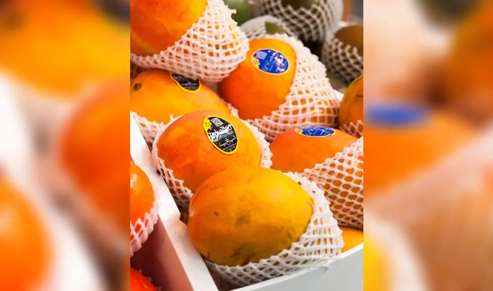 En Corea del Sur el mango es un fruto de lujo y se paga US$ 9,6 por seis unidades
