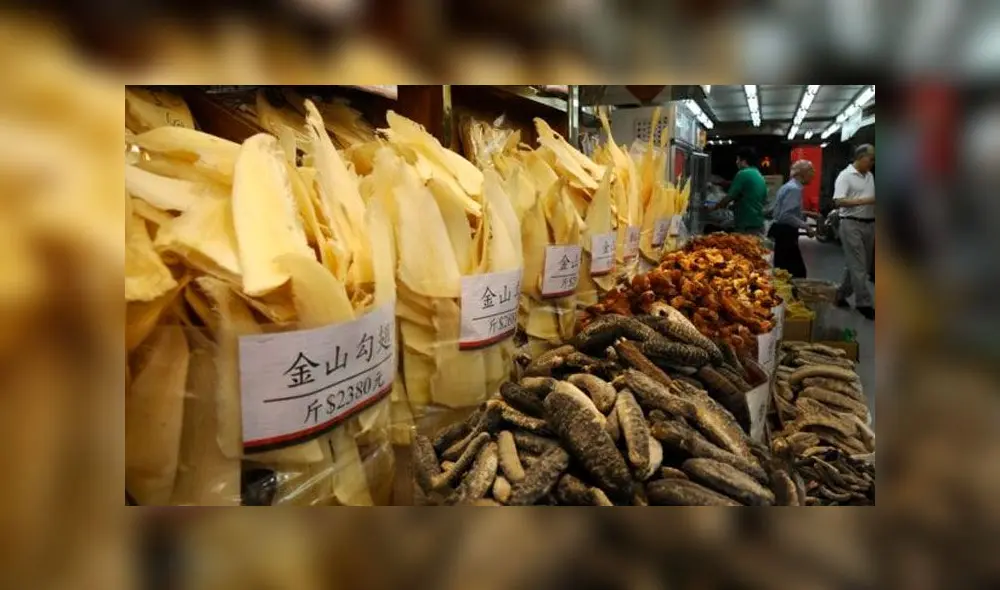 Animales exóticos en peligro de extinción por culpa de los comerciantes chinos, que los ofrecen en mercados. Foto: Difusión Animales exóticos en peligro de extinción por culpa de los comerciantes chinos, que los ofrecen en mercados. Foto: Difusión