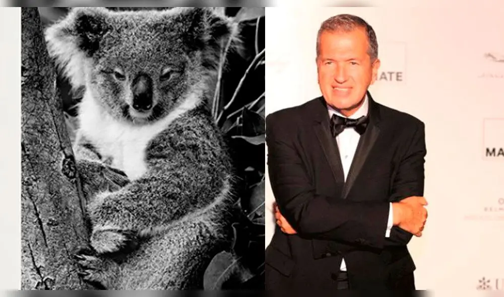 Mario Testino Mario Testino